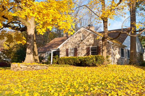 Prep the Outside of Your Home for the Fall Season
